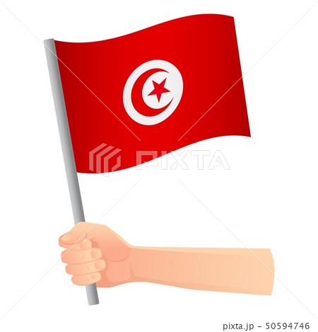 Tunisia flag in hand 50594746