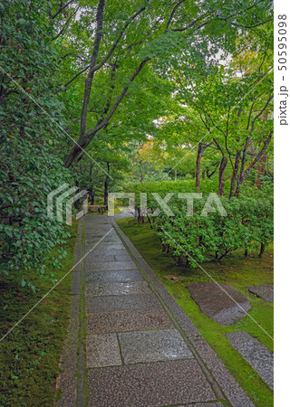圓徳院 雨上がりの参道 圓徳院 雨上がりの参道 50595098