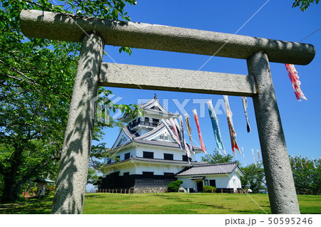 千葉県 館山城 鯉のぼり 千葉県 館山城 鯉のぼり 50595246