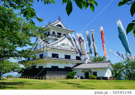 千葉県　館山城　鯉のぼり 50595248