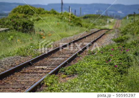 原生花園の線路 50595297
