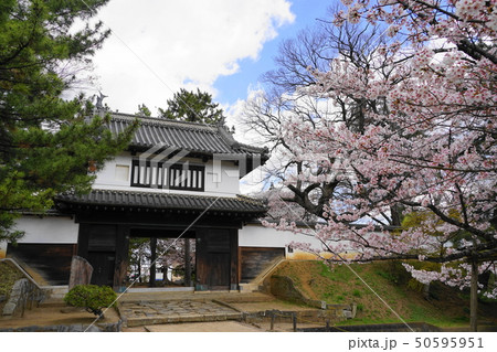 4月　土浦05亀城公園(土浦城址)の桜 50595951