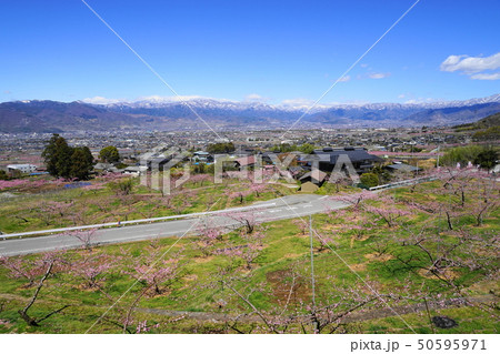 4月 笛吹48桃桜の花と桃源郷と奥秩父連峰・八代町~御坂町 4月 笛吹48桃桜の花と桃源郷と奥秩父連峰・八代町~御坂町 50595971