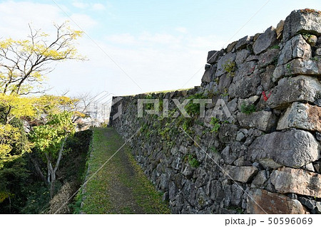 秋の米子城跡 50596069