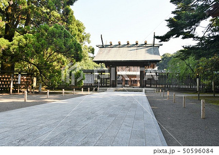 初夏の宮崎神宮 50596084