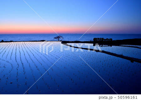 白米千枚田の夕日 50596161