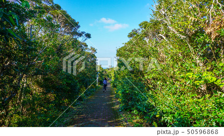 リゾートの緑に囲まれた遊歩道の散策1-Walkway surrounded by greenery リゾートの緑に囲まれた遊歩道の散策1-Walkway surrounded by greenery 50596868