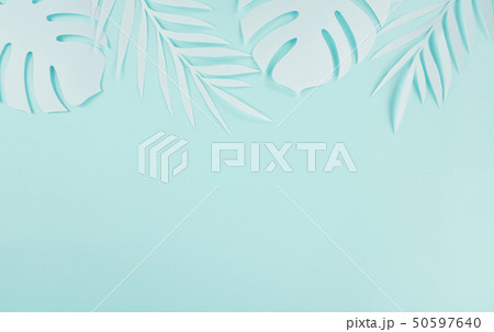 紙 夏 カード 50597640