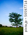 初夏の風景 50597718