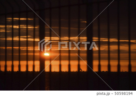手すり越しにみる夕陽 50598194