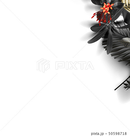 Tropical black and gold leaves on white background 50598718