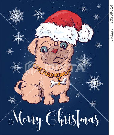 Christmas dog in Santa Claus elf hat. Vector Christmas dog in Santa Claus elf hat. Vector 50599014