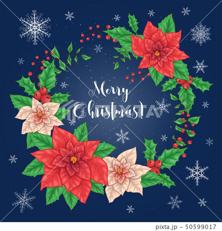 Poinsettia Flowers and Christmas Floral Elements. 50599017