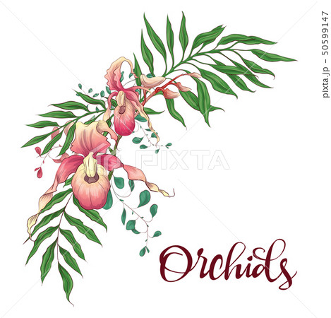 Floral design frame. Orchid, eucalyptus, greenery. 50599147