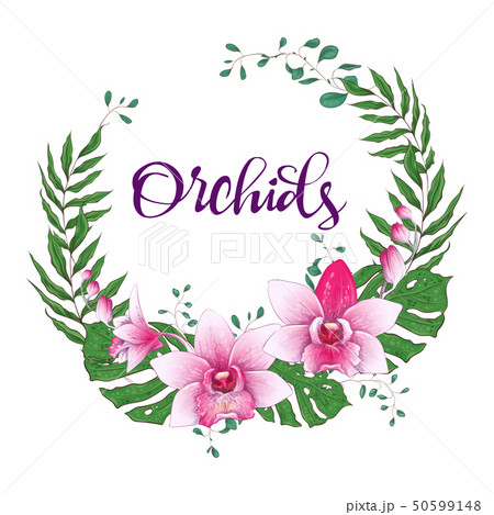 Floral design frame. Orchid, eucalyptus, greenery. 50599148
