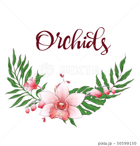 Floral design frame. Orchid, eucalyptus, greenery. 50599150
