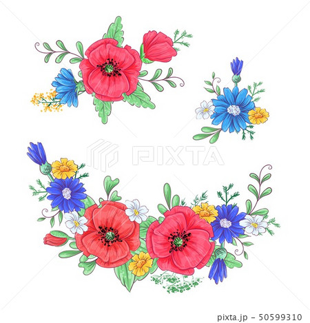 Set of red poppies and daisies. Hand drawing. 50599310