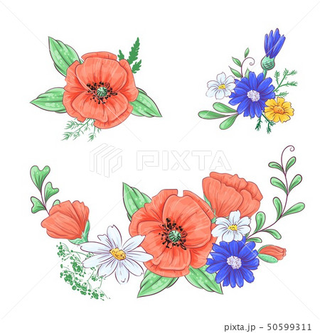 Set of red poppies and daisies. Hand drawing. 50599311