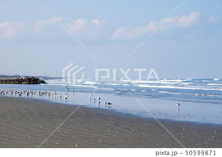 波崎海岸（茨城県神栖市） 50599871