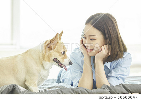 犬 子犬 女性 50600047