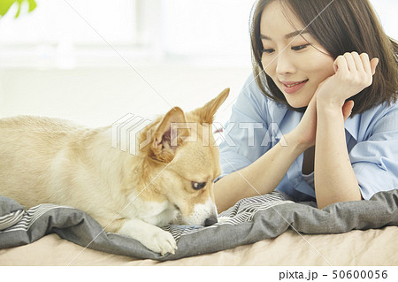 犬 子犬 女性 50600056
