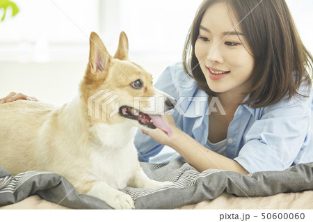 犬 子犬 女性 50600060