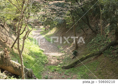 岡崎城 50600210