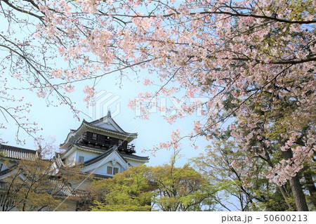 岡崎城 岡崎城 50600213