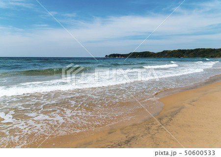 琴ケ浜(鳴り砂の浜)島根県 琴ケ浜(鳴り砂の浜)島根県 50600533