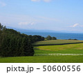 風景 50600556