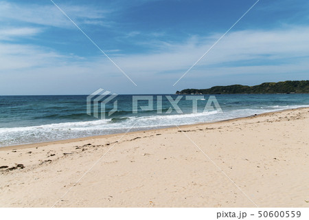 琴ケ浜（鳴り砂の浜）島根県　 50600559
