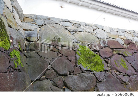 甲府城 甲府城 50600696