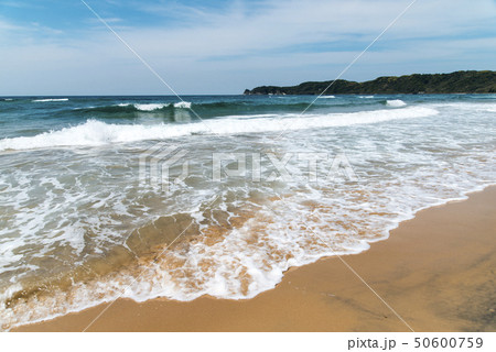 琴ケ浜（鳴り砂の浜）島根県　 50600759