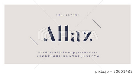 Elegant awesome alphabet letters font and number. Elegant awesome alphabet letters font and number. 50601435
