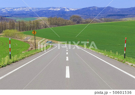 北海道美瑛　青空へ続く道 50601536