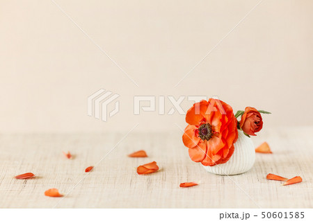 Anemone flower in small Japanese vase on table 50601585