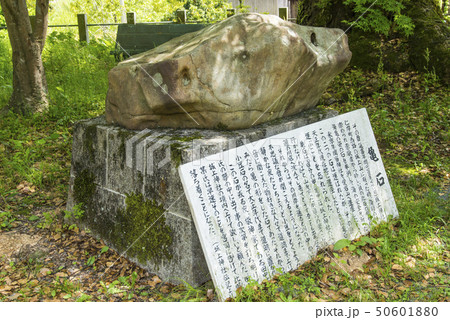 亀石(城上神社) 亀石(城上神社) 50601880