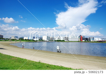 大森ふるさとの浜辺公園（東京都大田区） 50602173