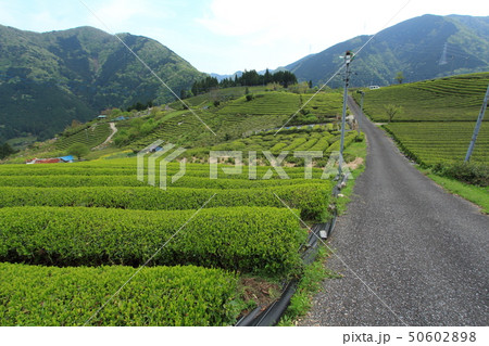 岐阜のマチュピチュ 岐阜のマチュピチュ 50602898
