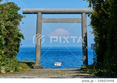 千葉県　洲崎神社　鳥居と富士山 50603448