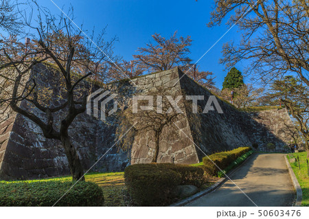 春の盛岡城の風景 50603476