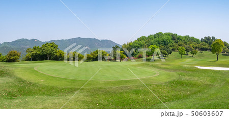 ゴルフ場 パッティンググリーン ゴルフ場 パッティンググリーン 50603607