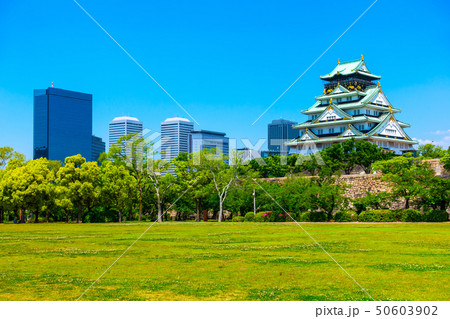 新緑の大阪城 50603902