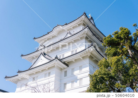 日本 ジャパン 日本国 50604010