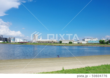 大森ふるさとの浜辺公園 大森ふるさとの浜辺公園 50604776