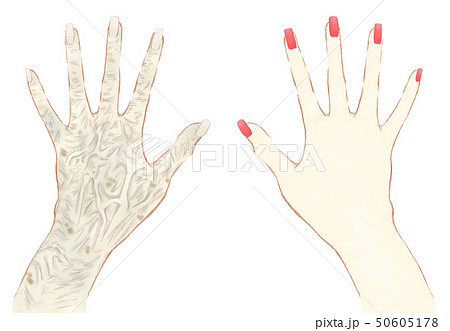 老化した手と若い手の比較 老け手と若い女性の手の甲のイラスト素材