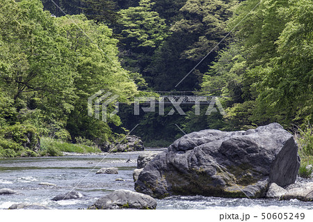 御岳渓谷 春景 御岳渓谷 春景 50605249