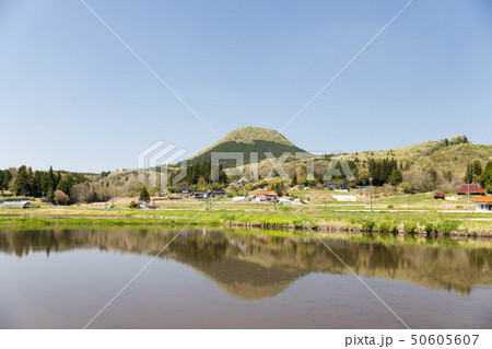 新緑の荒戸山と水田 新緑の荒戸山と水田 50605607