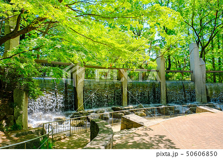 蚕糸の森公園 50606850