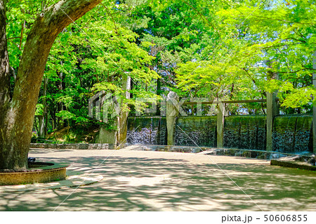 蚕糸の森公園 50606855